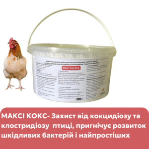 Максі Кокс – кормова добавка для профілактики кокцидіозу та клостридіозу у птиці