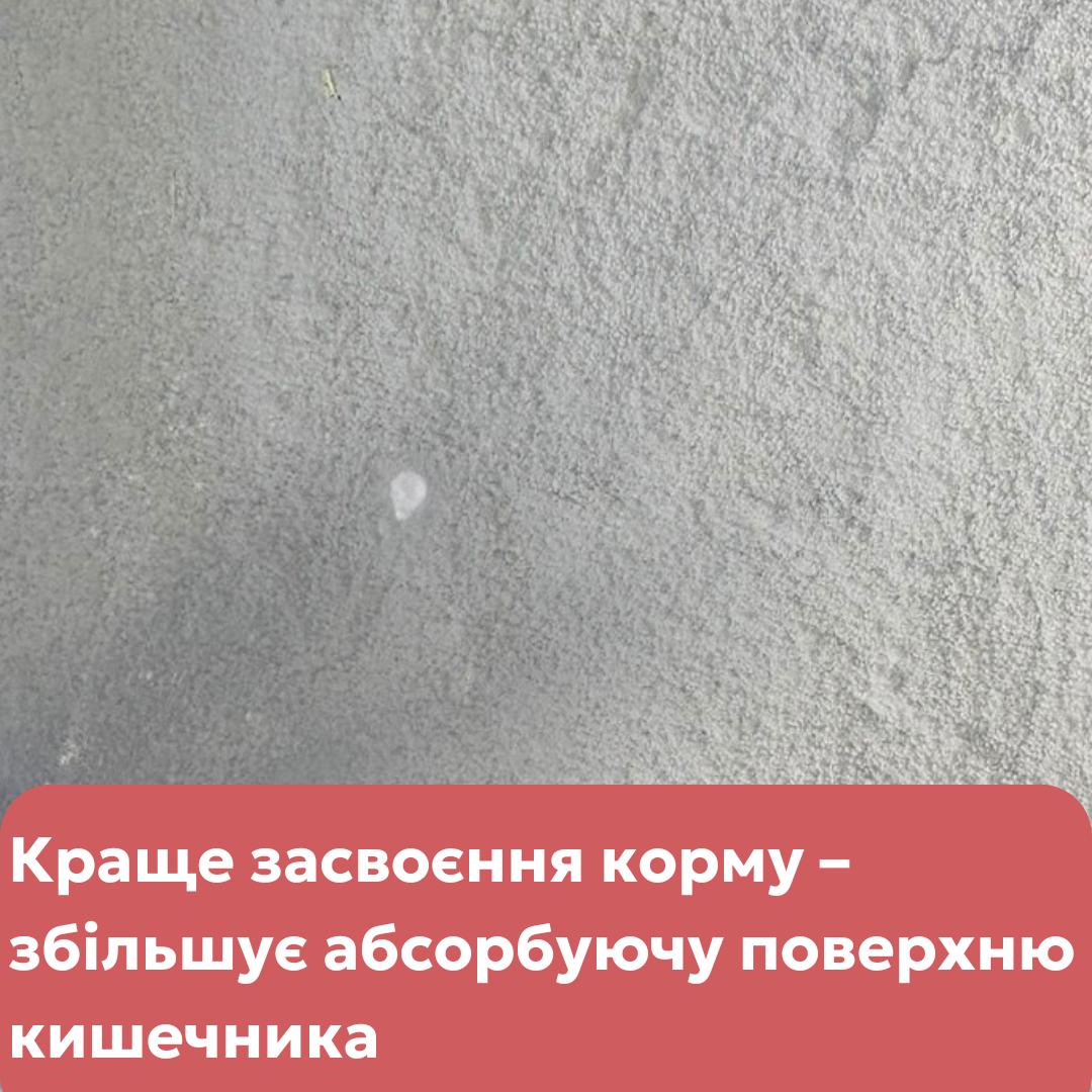 Кормова добавка Максі Кокс для профілактики кокцидіозу у птиці