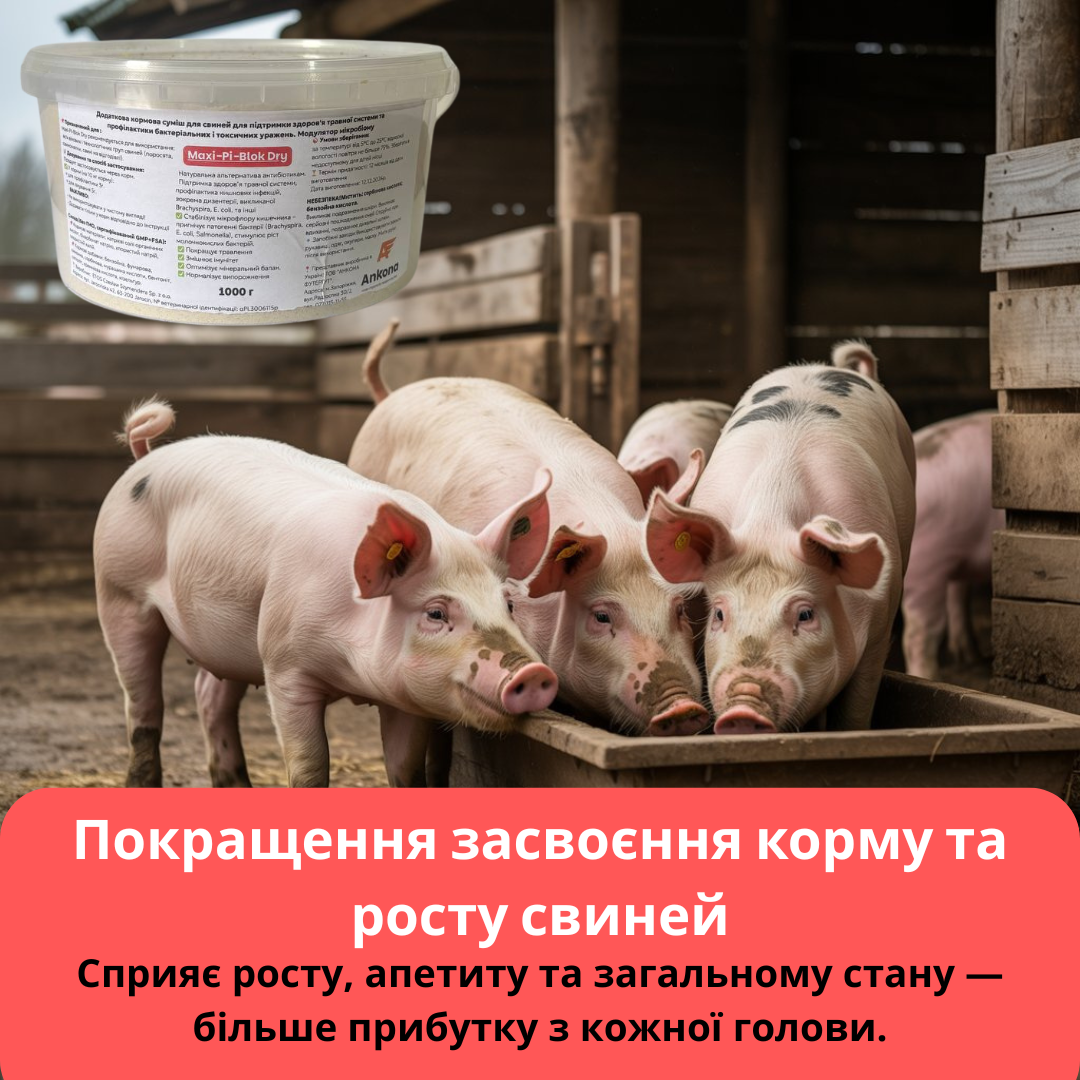 Максі Пі Блок Драй – ефективна профілактика хвороб Кормова добавка Maxi-Pi-Blok Dry для свиней