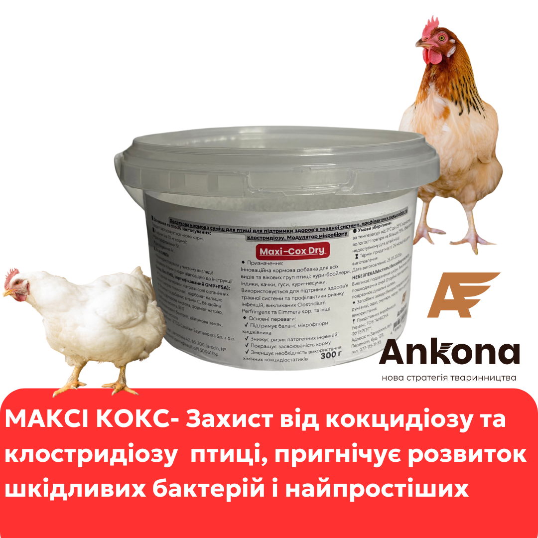 Набір Профі