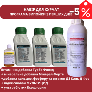 Home Програма випойки для курчат з перших днів